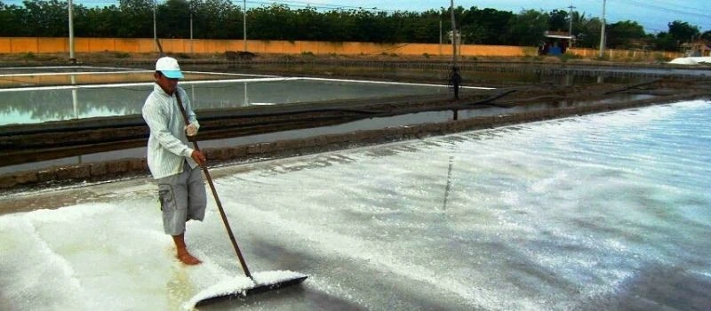 Visite marais salant Bach Long