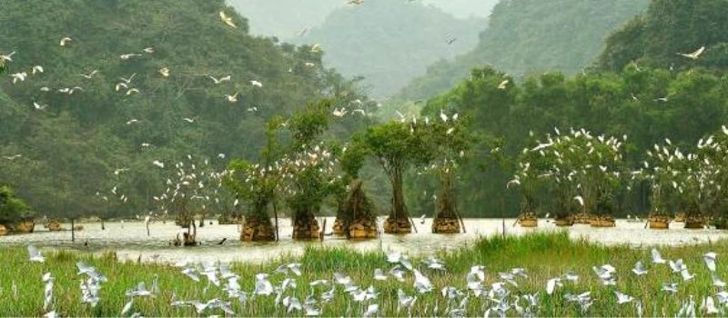 reserve naturelle van long ninh binh