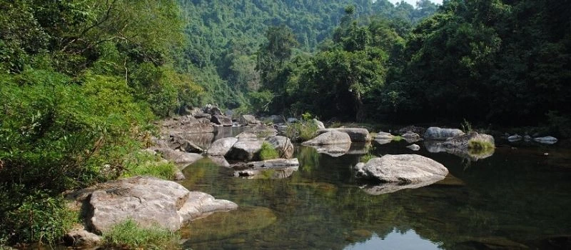 For&ecirc;t primitive de Khe Ro