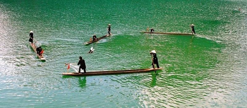 F&ecirc;te de Xuan Huong