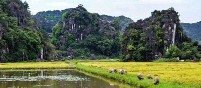 Visite Tam Coc Ninh Binh