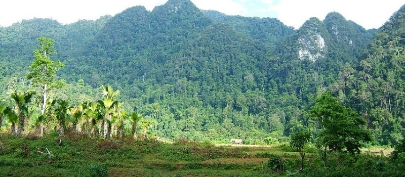 La grotte et la for&ecirc;t Xuan Son