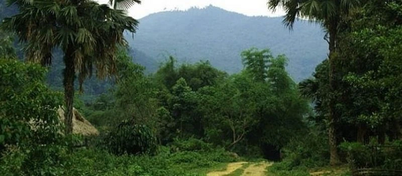 mont tham phu tho vietnam