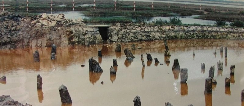 Le champ de pieux de Bach Dang