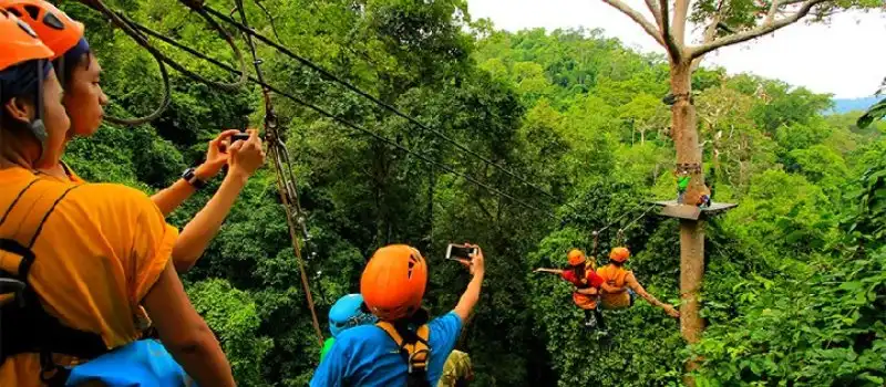 Tour en tyrolienne sur le vol du Gibbon