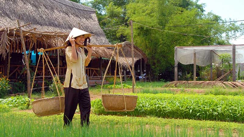 Village mara&icirc;cher de Tra Que