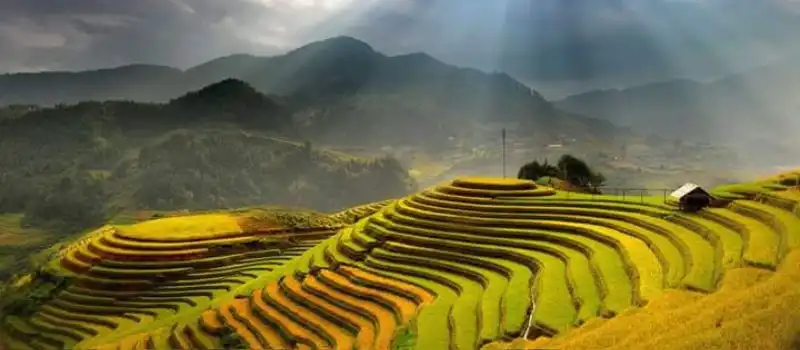 Trekking &agrave; Mu Cang Chai en octobre