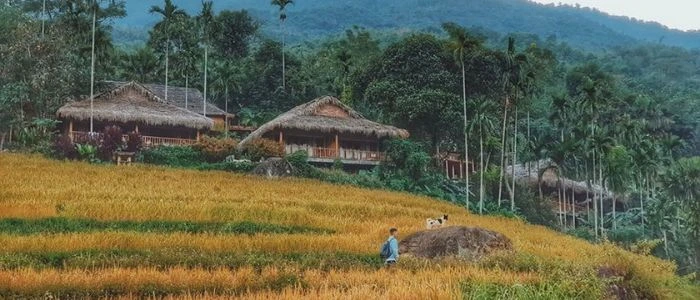Trekking &agrave; Pu Luong
