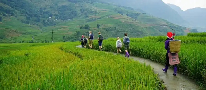 Trekking &agrave; Sapa Vietnam