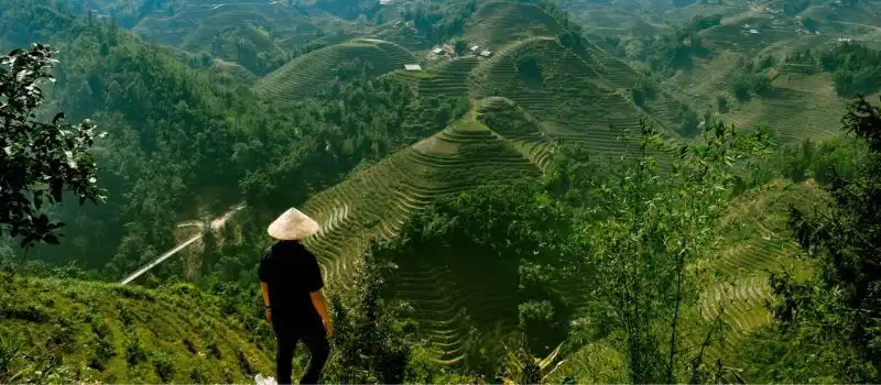 Trekking &agrave; Sapa