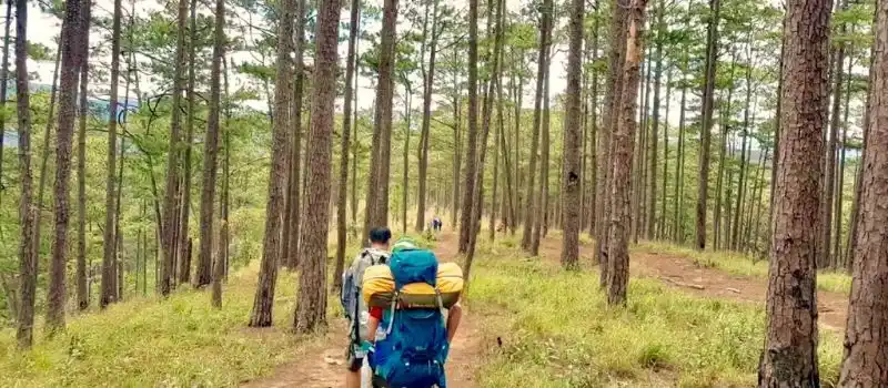 Trekking au Vietnam