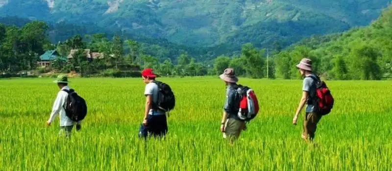 Vall&eacute;e verdoyante de Mai Chau