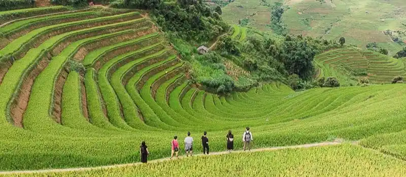 V&eacute;ritable joyau b&eacute;ni par la nature Mu Cang Chai