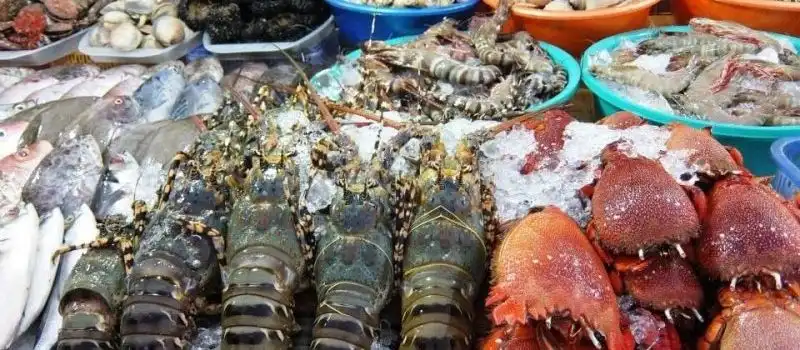 Vie nocturne de la baie d'Halong