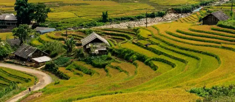 Village de Ban Ho Sapa