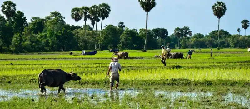Village de Cheung Kok
