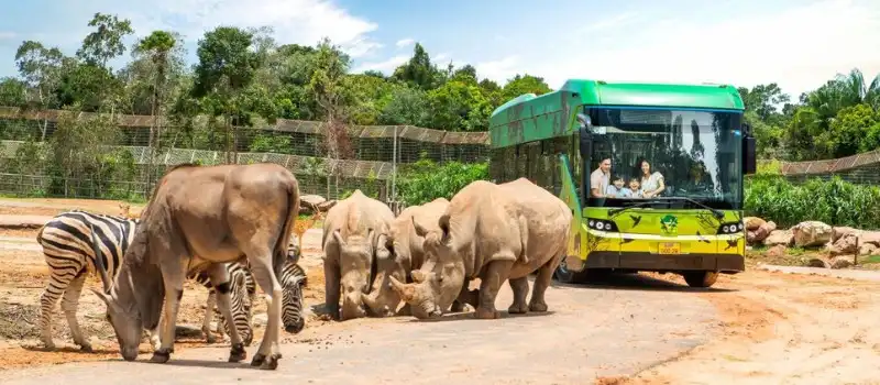 VinWonders & Vinpearl Safari &agrave; Phu Quoc