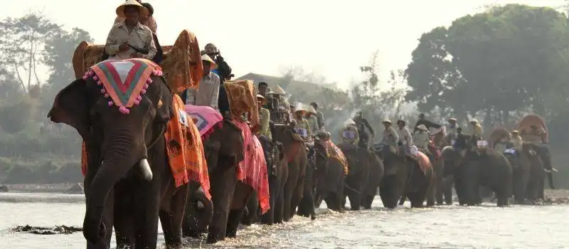 Visite au Laos - pays de millions d'&eacute;l&eacute;phants