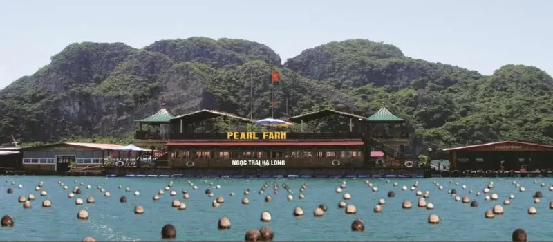 Visite dans une ferme de perles