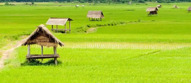 Visite de Luang Namtha