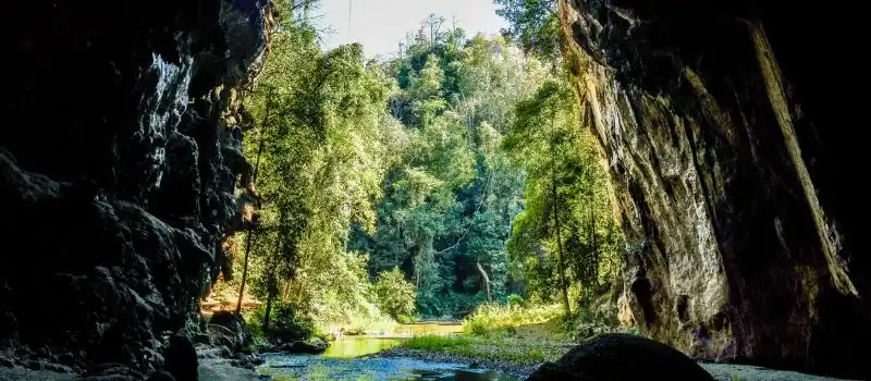 Visite de parcs nationaux