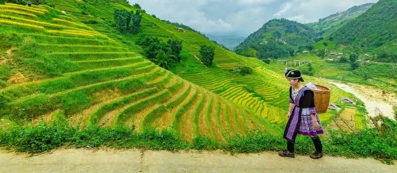 Visite d&eacute;couverte de Sapa