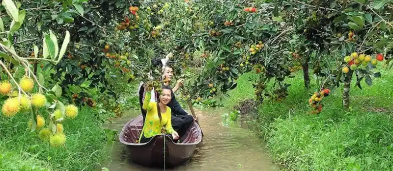 Visite des vergers du M&eacute;kong