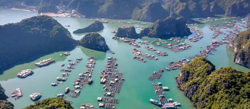 Visite des villages de p&ecirc;cheurs de la baie Halong