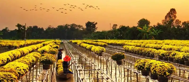 Visite Sa Dec pendant le T&ecirc;t vietnamien