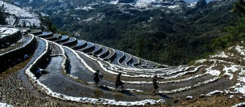Visite Sapa en hiver