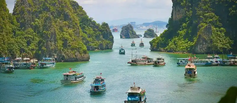 Visites des îles de la baie Halong Visites des îles de la baie Halong