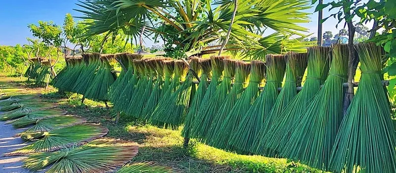 visitez-phu-my-le-village-traditionnel-du-tressage-du-jonc-au-vietnam2123