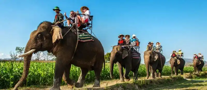Voiture chauffeur Buon Me Thuot Vietnam