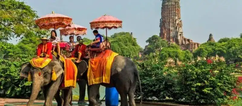 Voiture chauffeur Dak Lak vietnam