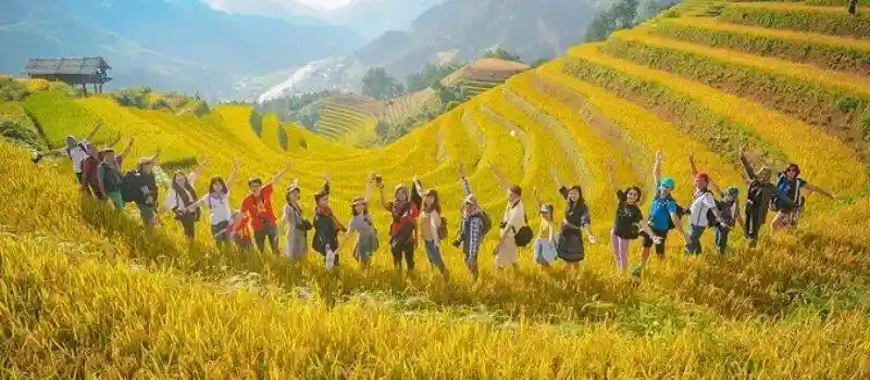 Voiture chauffeur pour voyage au nord Vietnam