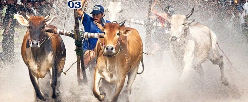 voyage-a-an-giang-vietnam