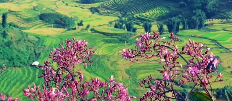 Voyage &agrave; Dien Bien