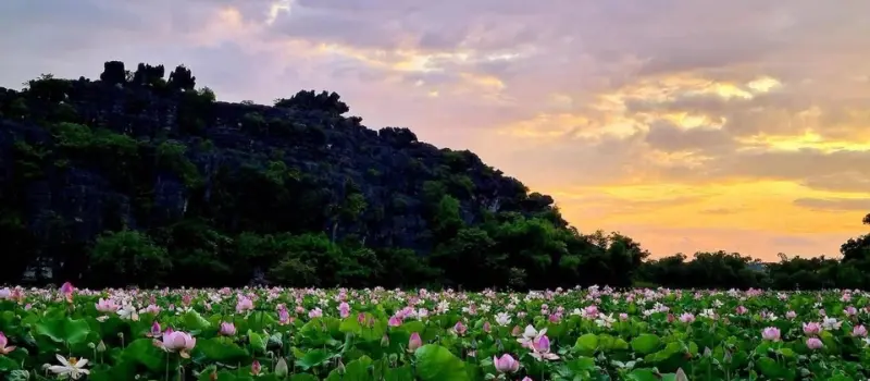 Voyage &agrave; Ninh Binh en juillet