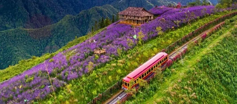 Voyage &agrave; Sapa en juillet