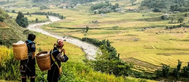 Voyage au Nord du Vietnam