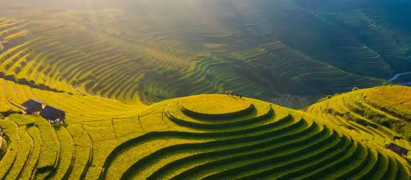 Voyage au Vietnam avec un petit budget 