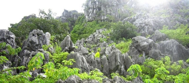 La montagne Voi (&Eacute;l&eacute;phant)