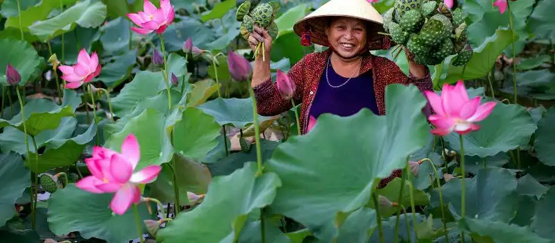voyage-au-vietnam-en-automne