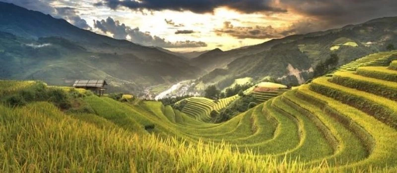 Riziere Hoang Su Phi Ha Giang