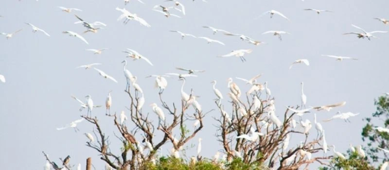 voyage-au-vietnam-hai-duong