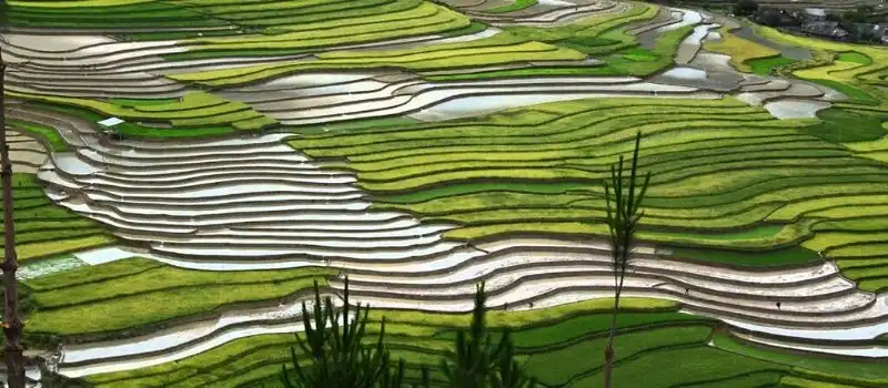 Voyage au Vietnam sur mesure hors des sentiers battus