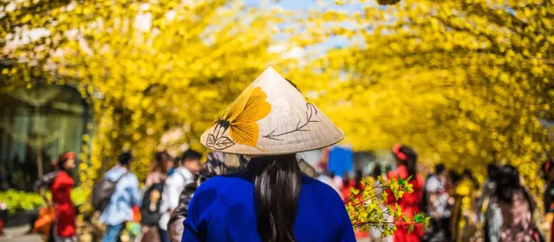 Voyage dans le Sud du Vietnam pendant le T&ecirc;t