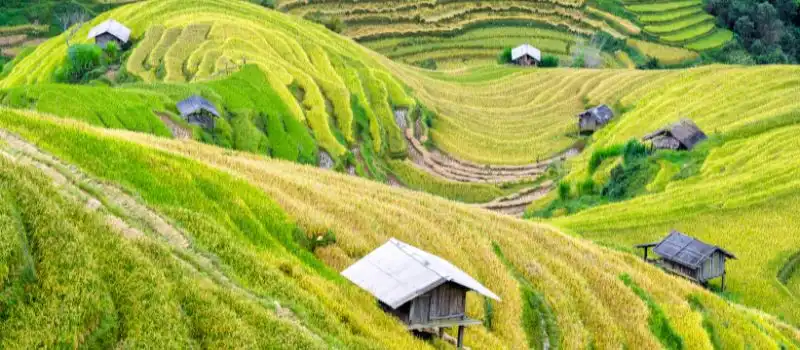 Voyage Nature au Vietnam sur mesure