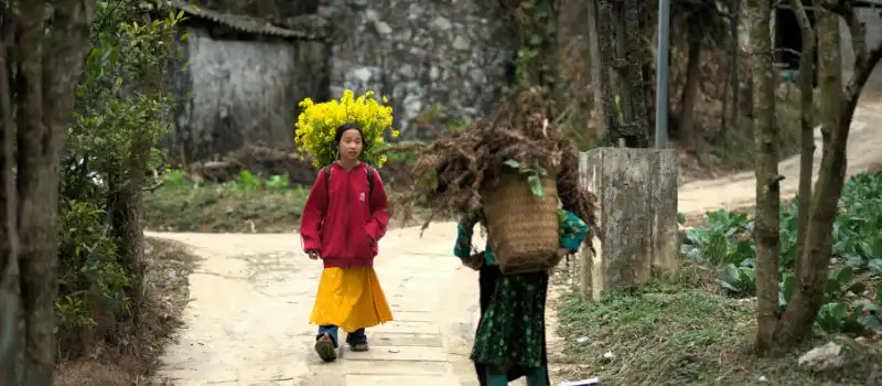 Voyage solo &agrave; Ha Giang Vietnam