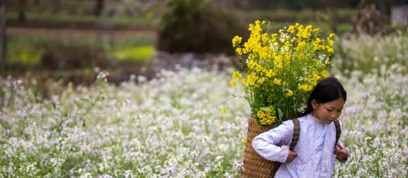Voyager au Vietnam &agrave; la d&eacute;couverte de Ha Giang